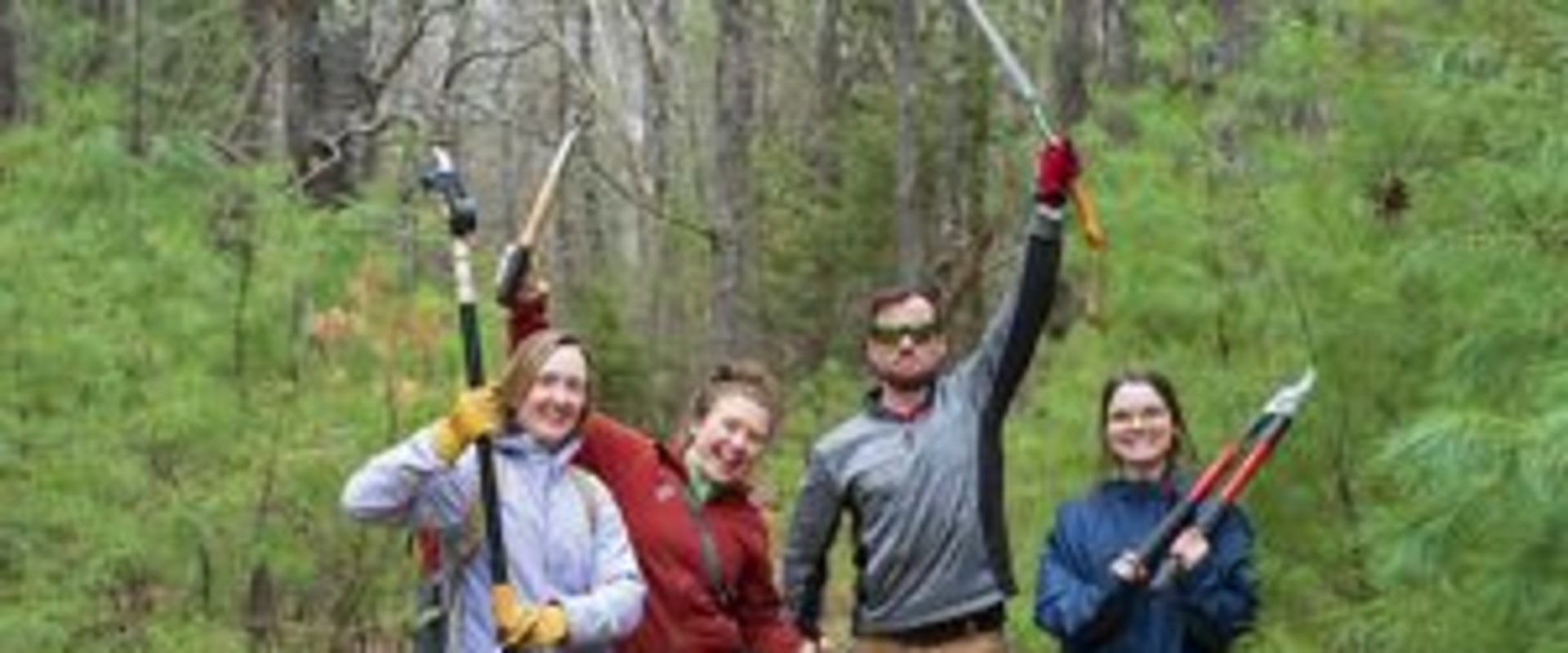 The Power of Volunteers in Nonprofit Organizations in Central Virginia