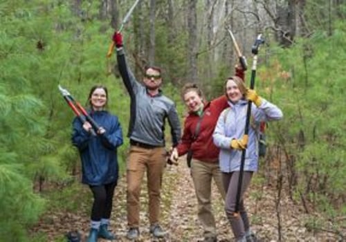 The Power of Volunteers in Nonprofit Organizations in Central Virginia